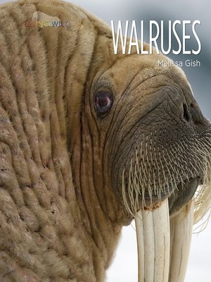 cover image of Walruses